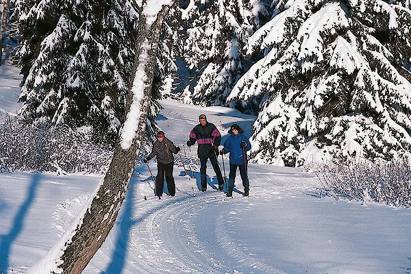 Langlaufen direkt am Erlebnisbauernhof im Bayerischen Wald